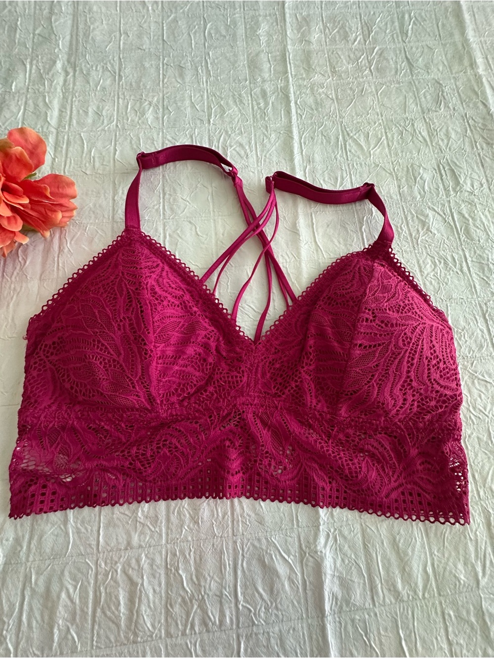 Auden Lace Bralette in Fuchsia Pink